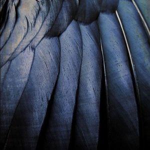 Meet your Posher, Ally